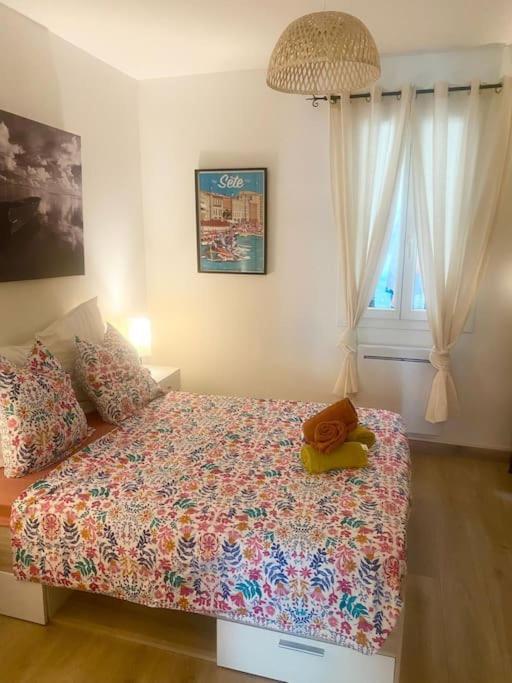 Sète Appartement Neuf Cosy Centre Ville Quartier Haut מראה חיצוני תמונה